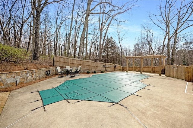 view of pool featuring a patio, a fenced backyard, and a fenced in pool