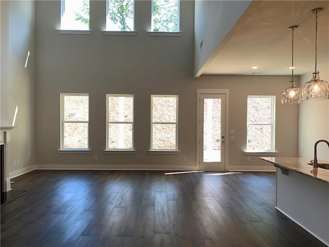 interior space with a high ceiling, dark wood-type flooring, and sink