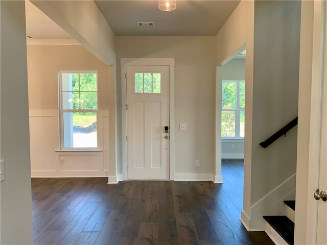 foyer with dark hardwood / wood-style floors and a wealth of natural light