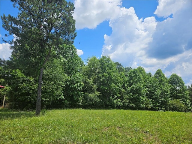 3 Young Loop, Fairmount GA, 30139 land for sale