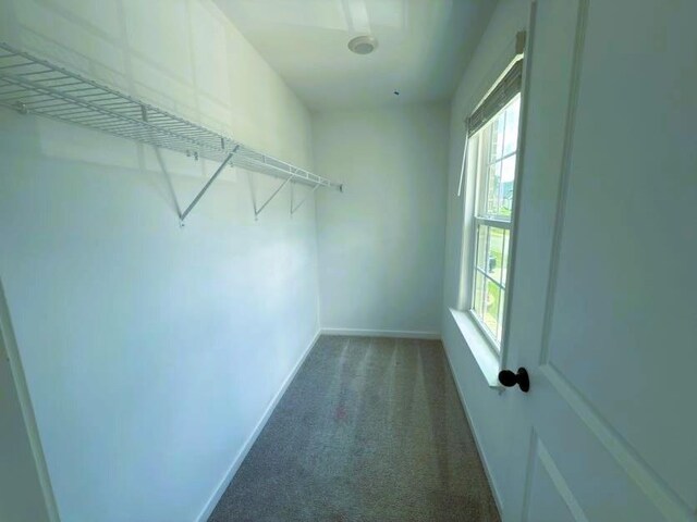 4935 Bellehurst Ln, Cumming, GA 30040 - spacious closet with carpet flooring
