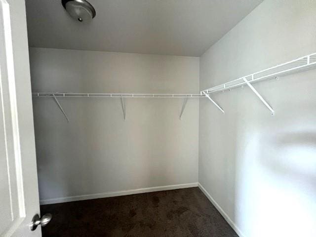 2469 Osceola Rd, Lithonia, GA 30058 - spacious closet with dark carpet