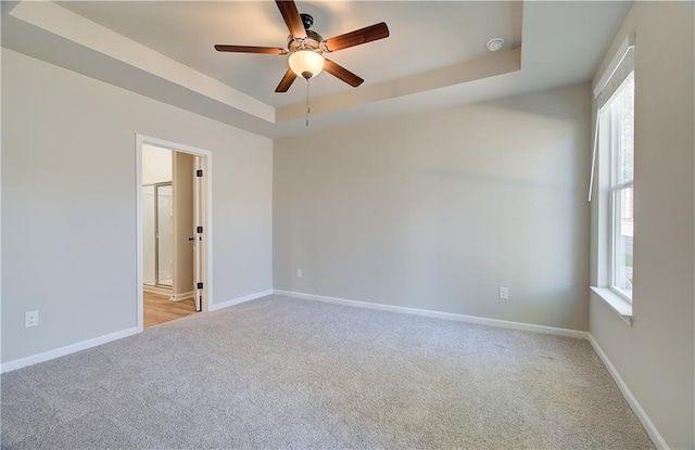 spare room featuring plenty of natural light, a raised ceiling, and light carpet