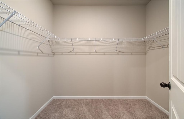 walk in closet featuring carpet