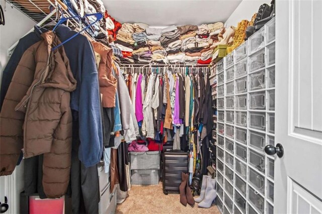 spacious closet with carpet floors