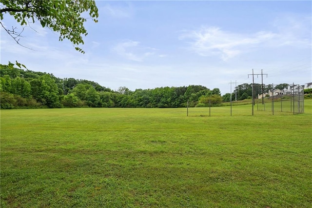 1185 Charter Club Dr, Lawrenceville, GA 30043 - view of yard