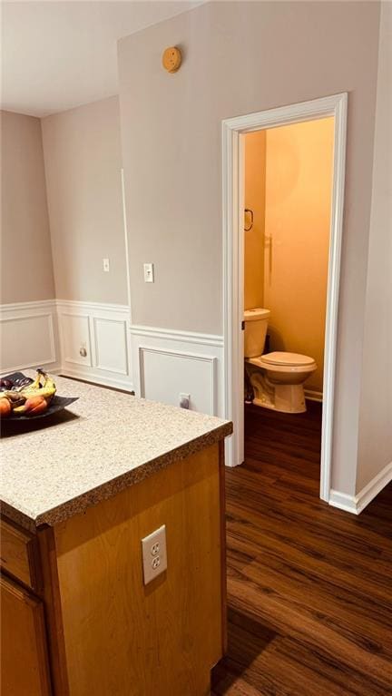 bathroom featuring wood-type flooring, toilet, and vanity