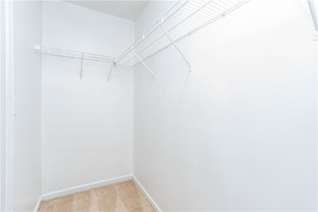 529 Ridge View Xing, Woodstock, GA 30188 - walk in closet with light colored carpet