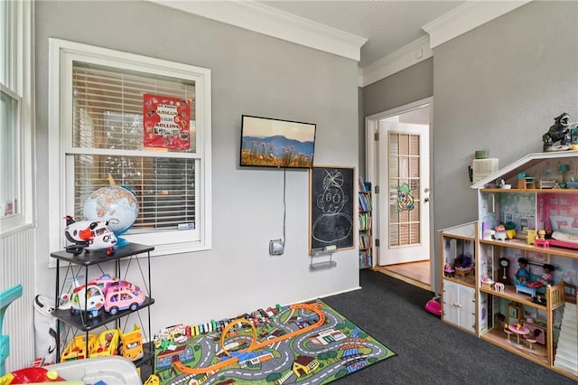 1213 Grande Vw, Loganville, GA 30052 - recreation room featuring ornamental molding and carpet floors
