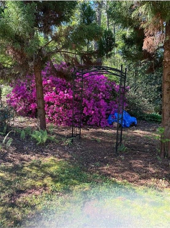 1213 Grande Vw, Loganville, GA 30052 - view of yard