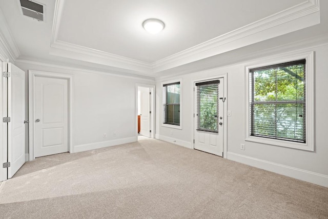 carpeted empty room featuring a tray ceiling and ornamental molding