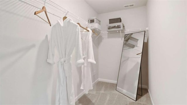 204 College Cir Unit 1003, Hapeville, GA 30354 - walk in closet featuring light carpet