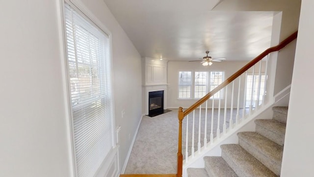 staircase with carpet, a large fireplace, and ceiling fan