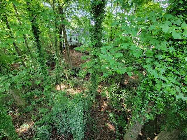 180 Preston Oaks Dr, Johns Creek, GA 30022 - view of local wilderness