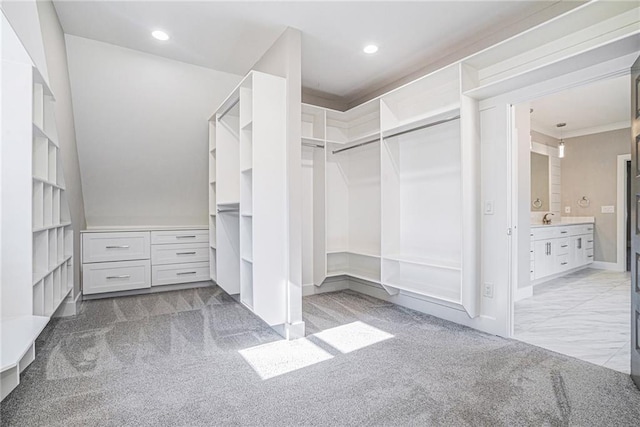 walk in closet featuring carpet and a sink