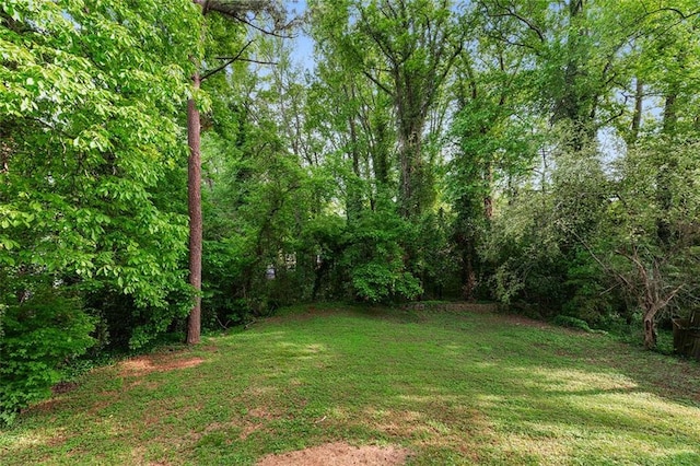 view of yard featuring a view of trees