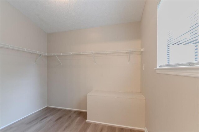 spacious closet with wood finished floors