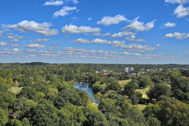 bird's eye view of a nearby body of water