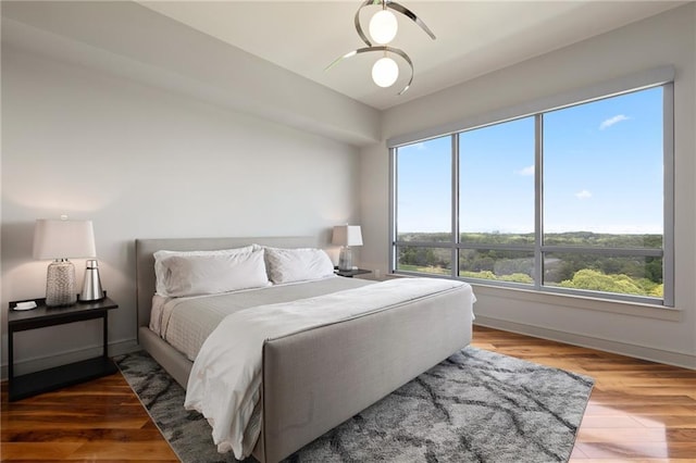 bedroom featuring access to exterior, wood finished floors, baseboards, and a closet