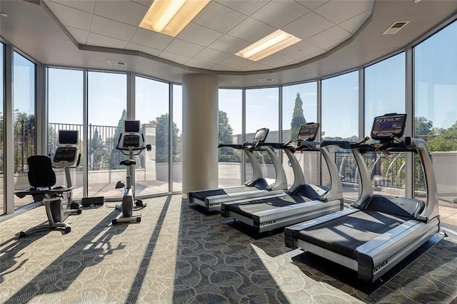 workout area featuring carpet floors and baseboards