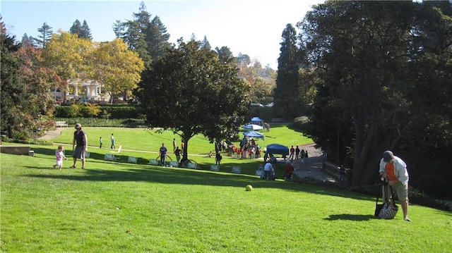 view of property's community with a yard