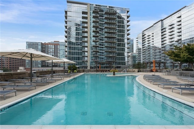 view of swimming pool with a patio area