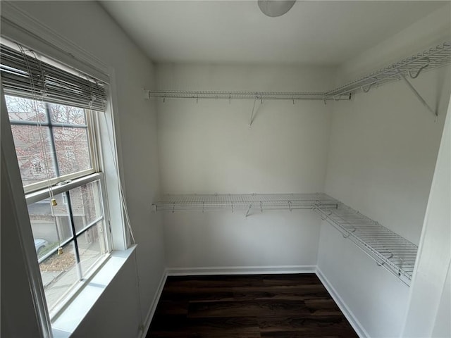 walk in closet with dark wood finished floors