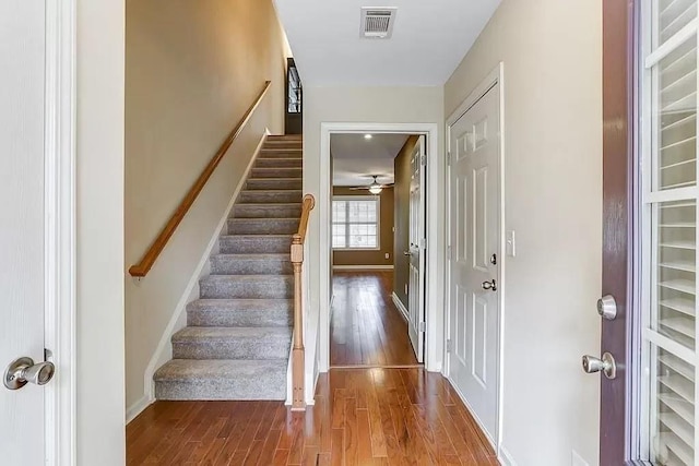 entrance foyer with hardwood / wood-style flooring and wine cooler