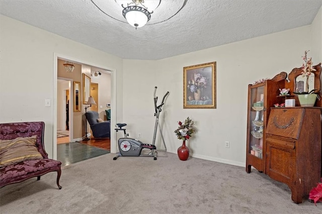 workout area with carpet and a textured ceiling