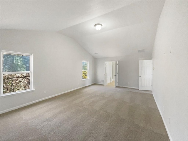 interior space featuring carpet and lofted ceiling