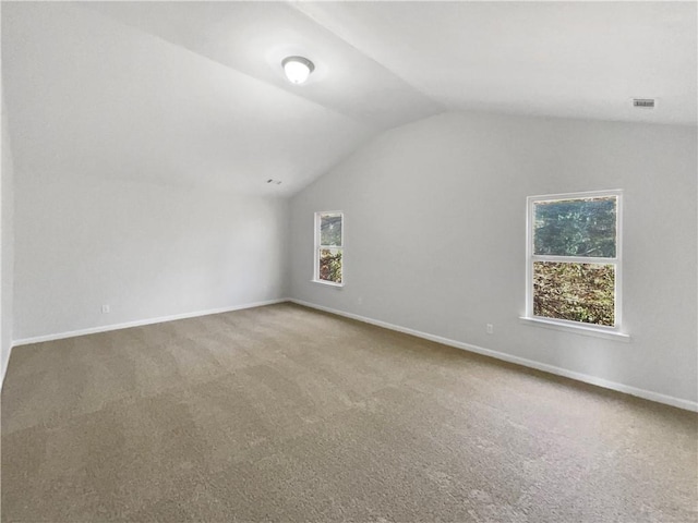 additional living space with plenty of natural light, carpet floors, and vaulted ceiling