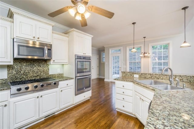kitchen featuring stainless steel appliances, a sink, crown molding, dark wood finished floors, and backsplash
