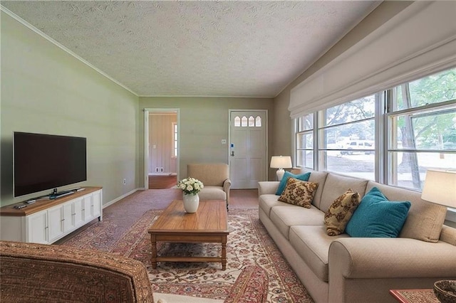 5167 Hiram Lithia Springs Rd, Powder Springs, GA 30127 - living area featuring a textured ceiling, baseboards, and ornamental molding