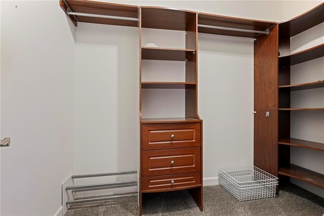 walk in closet featuring carpet floors