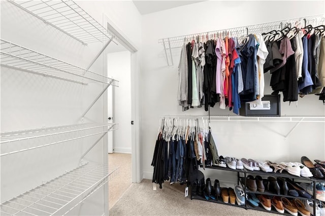 spacious closet with light colored carpet