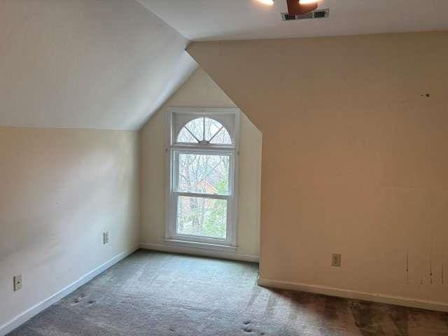 additional living space with visible vents, carpet floors, baseboards, and vaulted ceiling