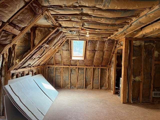 attic featuring visible vents