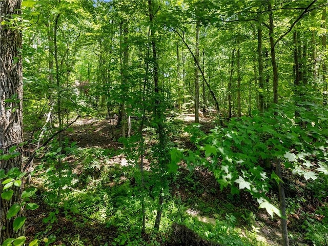 view of woods