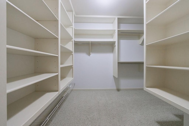 spacious closet featuring carpet flooring