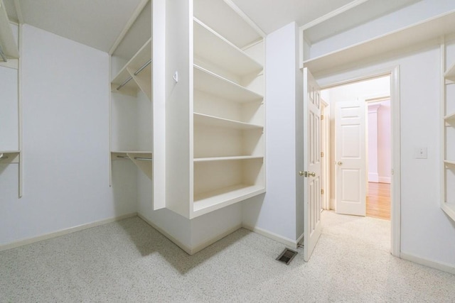 view of spacious closet