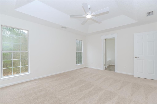 unfurnished room with light colored carpet, a raised ceiling, and a healthy amount of sunlight