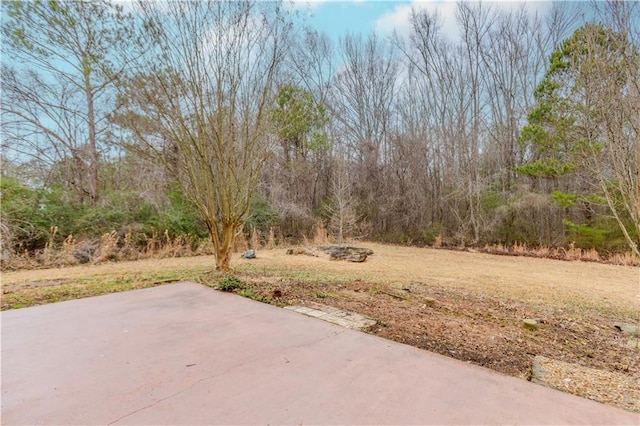 view of yard featuring a patio