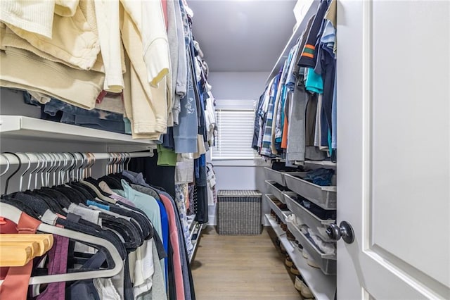 walk in closet featuring wood finished floors