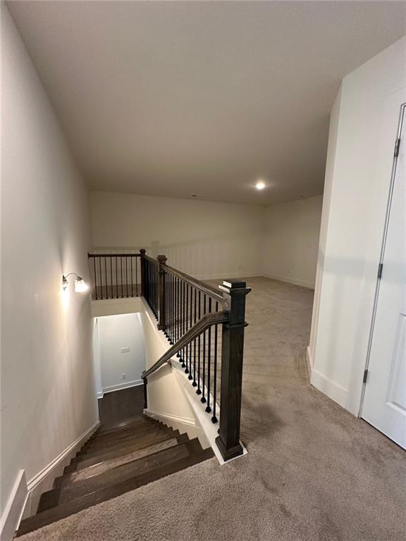 staircase with carpet flooring