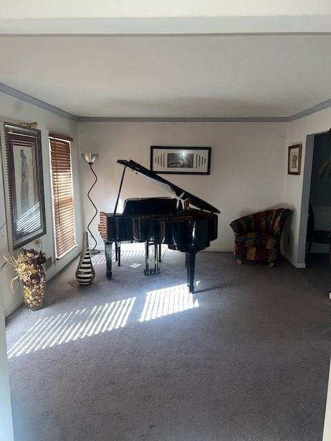 misc room with crown molding and carpet flooring