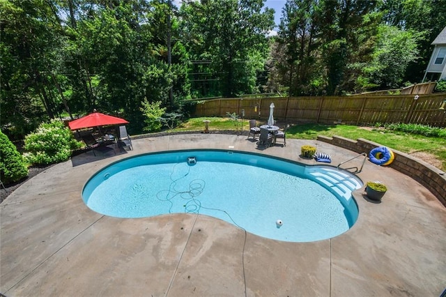4742 Thunder River Dr, Gainesville, GA 30506 - view of pool featuring a fenced backyard, a patio area, and view of wooded area