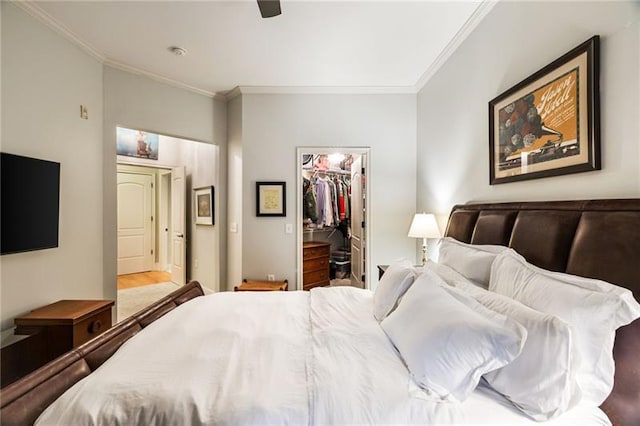 bedroom featuring a spacious closet, a closet, ceiling fan, and ornamental molding