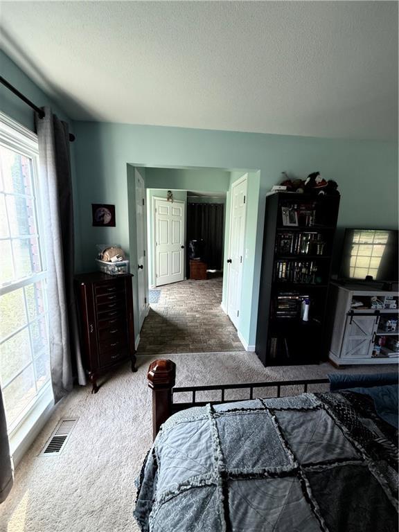 222 Akin Rd, Martin, GA 30557 - bedroom featuring multiple windows, carpet, and a textured ceiling