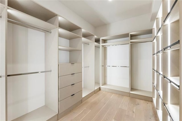 walk in closet featuring light hardwood / wood-style flooring