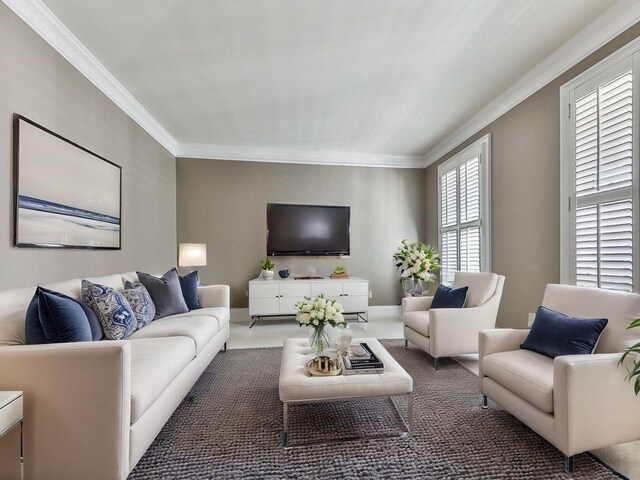 535 Crested Hawk Rdg, Canton, GA 30114 - living room featuring ornamental molding